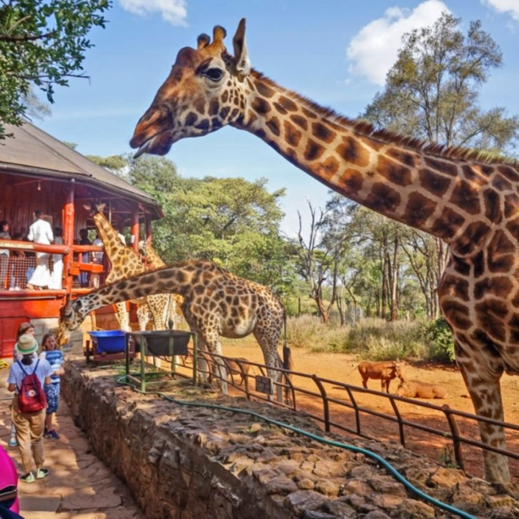 tourist attractions in nairobi kenya