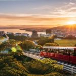 holiday-packages-in-new-zealand