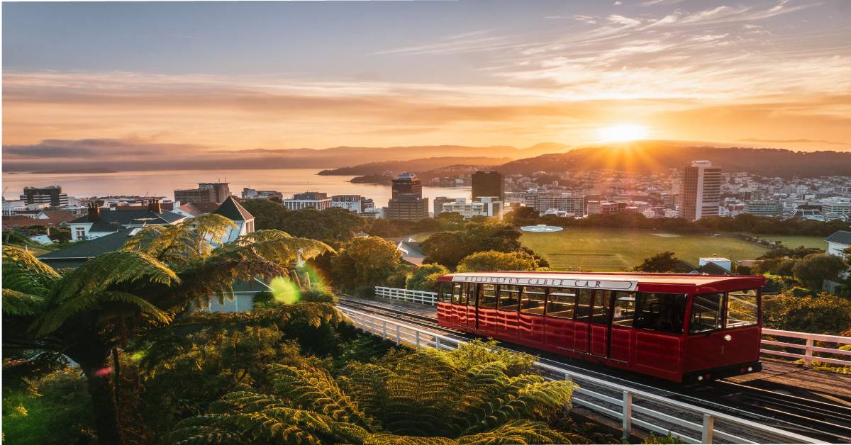 holiday-packages-in-new-zealand