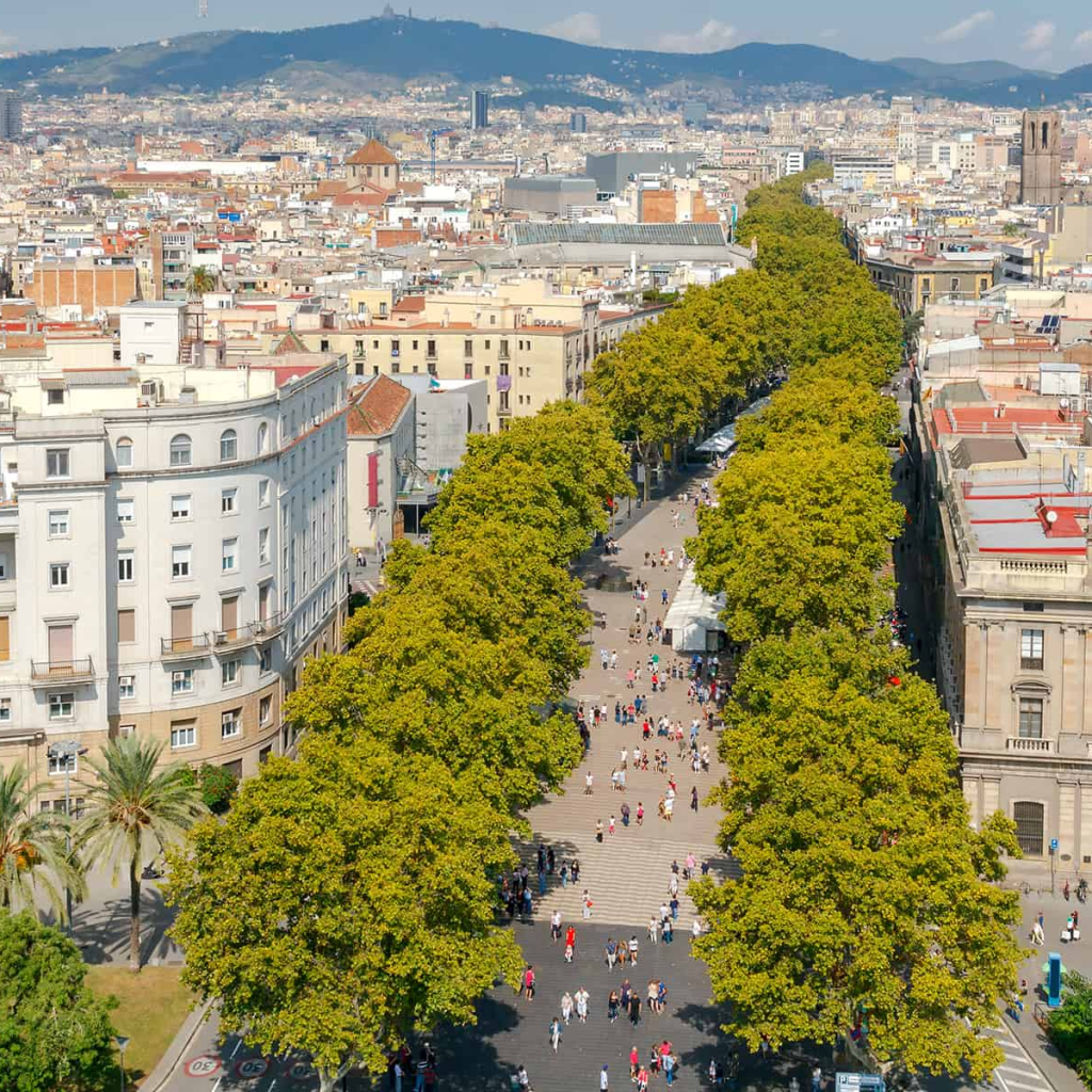 tour to barcelona