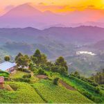 Tour Packages in Uganda