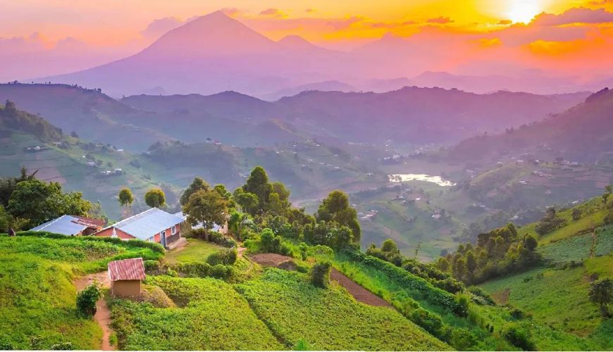Tour Packages in Uganda