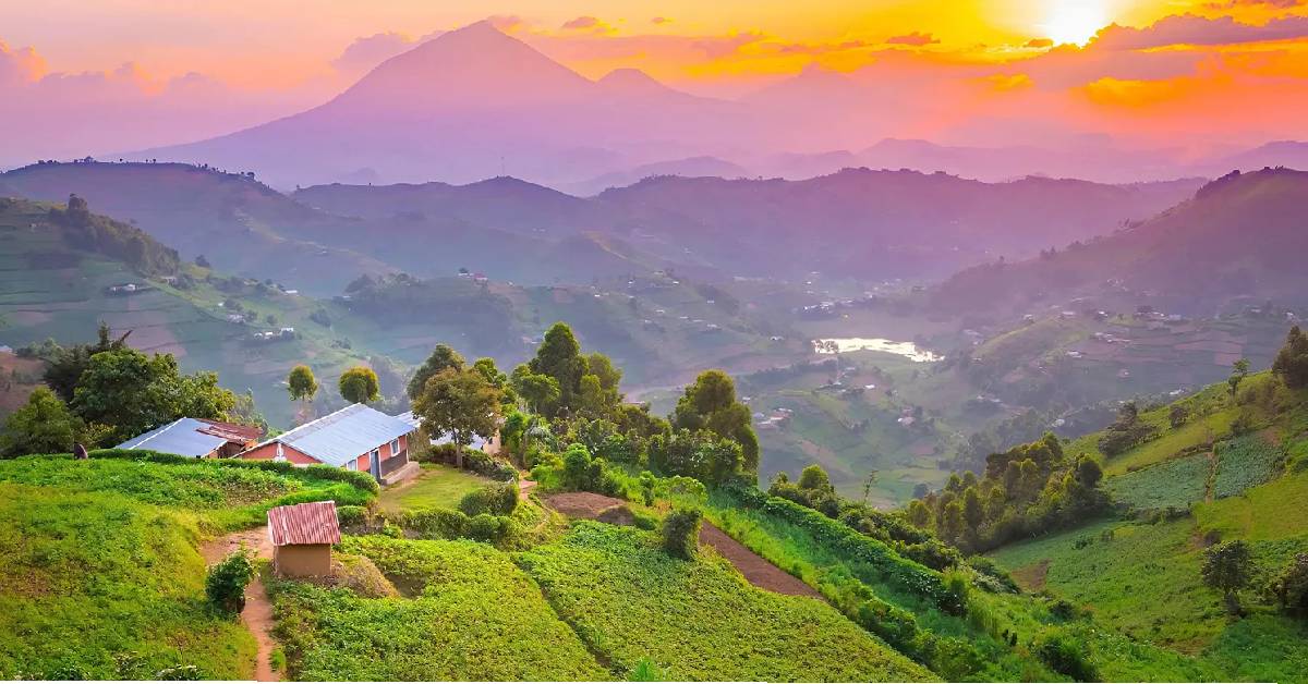 Tour Packages in Uganda